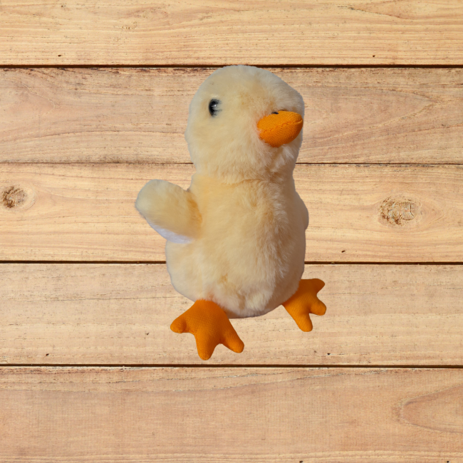 Hoverbild für Küken aus Plüsch