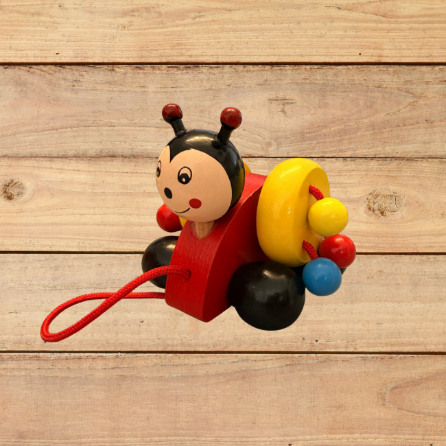 Hoverbild für Nachzieh-Käferchen